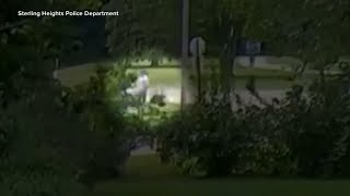 2 child abductions thwarted by good Samaritans in Michigan VIDEO [upl. by Ejroj]