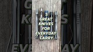 5 Great Knives For Everyday Carry edc shorts knife blade edcknife [upl. by Semajwerdna]