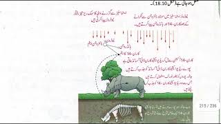 RadioisotopesUses of RadioisotopesTracersMedical TreatmentCarbon Dating in Urdu Class 10 Physics [upl. by Corrine]