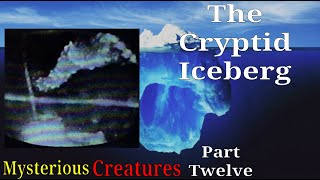 The Cryptid Iceberg Part Twelve [upl. by Eenwahs]