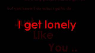 Drake  I Get Lonely Too Lyrics [upl. by Chip749]