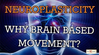 NeuroPlastic Nugget 3 Why Focus On BrainBased Movement [upl. by Caz]