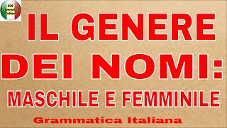 IL GENERE DEI NOMI MASCHILE E FEMMINILE  Nomi mobili indipendenti di genere comune e promiscui [upl. by Geno365]