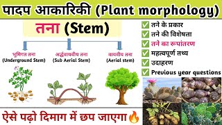 तना Stem  तने का रूपांतरण  Plant morphology  Botany  Study vines official [upl. by Eltsirc]