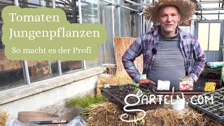 Sieben Tipps für die Tomaten Anzucht  So macht es der Gärtner [upl. by Bernardo]