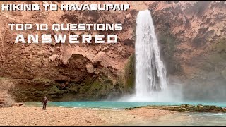 Hiking To Havasupai Top 10 Questions Answered [upl. by Alliuqal]