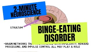 2Minute Neuroscience BingeEating Disorder [upl. by Mildrid]