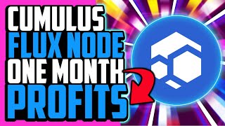 My Flux Node One Month Profitability [upl. by Milburr]