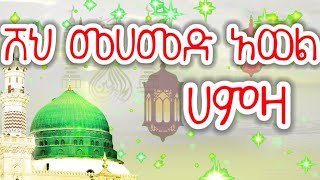 ሸህ መሀመድ አወል ሀምዛsheikh Mohammed awel Hamza شيخ محمد اول ت menzuma Allah [upl. by Niple927]