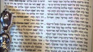 Rosh Hashanah Torah Reading  first day  Rabbi Weisblum קריאת התורה ראש השנה יום א [upl. by Lleryt]