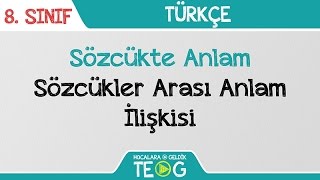 Sözcükte Anlam  Sözcükler Arası Anlam İlişkisi [upl. by Anaek949]