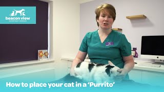 How To Place Your Cat In A Purrito [upl. by Sollows]