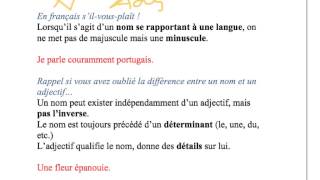 Orthographe des noms et adjectifs de nationalité en français  FLE [upl. by Sumner]