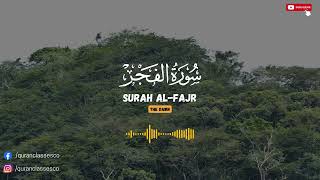 Beautiful Quran Recitation Of Surah Al Fajr By Omar Hisham Al Arabi  سورة الفجر [upl. by Lindy897]