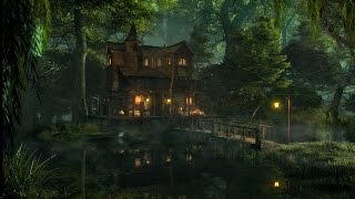 Swamp Sounds at Night  Frogs Crickets Light Rain Forest Nature Sounds [upl. by Nrobyalc]