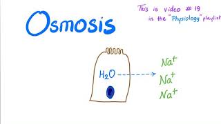 Osmosis  Physiology [upl. by Lisabeth834]