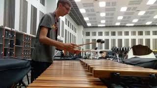 Resonant Chamber  Animusic 50 Octave Marimba Cover [upl. by Yror]