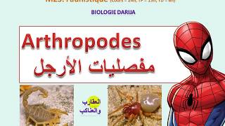 Arthropodeschélicérates sv3 مفصليات الأرجل [upl. by Ynnelg]