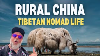 Rural China Tibetan Nomad Life  Exploring Qinghai Lakes Grasslands [upl. by Lustick]