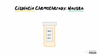 Nausea and Cisplatin Chemotherapy [upl. by Anitnamaid907]