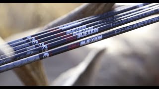 Why the Easton 4mm FMJ is the Best Hunting Arrow [upl. by Mayrim823]