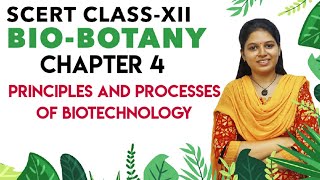 SCERT Class 12 Botany Chapter 4 Principles and processes of biotechnology  Tamil [upl. by Kalman929]