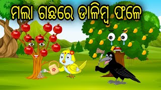 Mala Gachare Dalimba Fale  Odia Cartoon Odia Bird Stories Odia Chadhei Gapa Odia Moral Story [upl. by Neona]