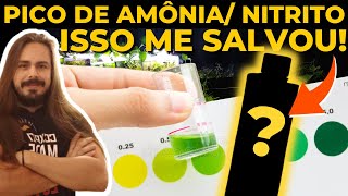 🔴AMÔNIA E NITRITO NUNCA MAIS  COMO ACABAR COM AMÔNIA E NITRITO NO AQUÁRIO  Mr Betta [upl. by Alatea966]