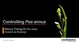 Mixture Timings for Poa annua Control on Fairways [upl. by Erodoeht]