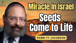 2500 Year Old Seeds Come to Life  Rabbi YY Jacboson [upl. by Fevre701]