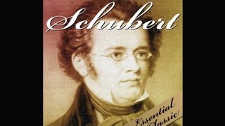 The Best of Schubert [upl. by Eissat]