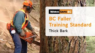 BC Faller Training Standard  Thick Bark 7 of 17 [upl. by Grobe]