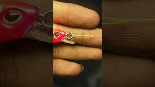 Best knot for lures  Rapala knot for beginner fishing short [upl. by Lustick748]