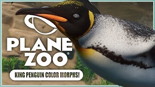 All New King Penguin Color Morphs  Planet Zoo Update 115 [upl. by Xymenes]