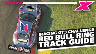 Red Bull Ring  Dave Cam iRacing Porsche GT3R Track Guide [upl. by Nnaeirelav701]