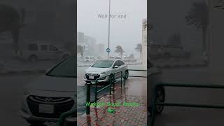 Rain 🌧  sleep relaxing rain nature relaxingmusic saudiarab shortvideo viralvideo [upl. by Haduhey]