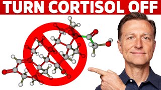 Why Its Hard To Turn Stress Cortisol Off – Dr Berg [upl. by Jovia]