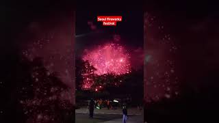 Seoul fireworks festival shorts fireworks travel southkorea [upl. by Arehsat]