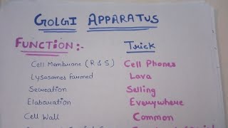 Function of Cell Organelles  Mnemonics Technic  Biology  Neet2021  Cell [upl. by Pantheas111]