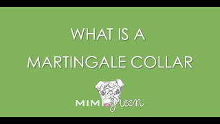 What Is A Martingale Collar  The What Why and How [upl. by Peterman337]