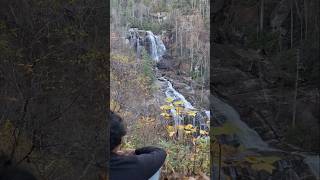 White Waterfalls waterfall NC usa nature shorts comments [upl. by Elison578]