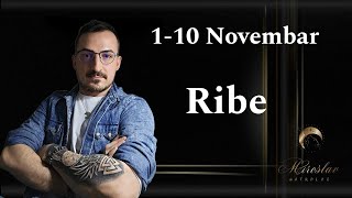 RIBE 1  10 NOVEMBAR [upl. by Rialb]