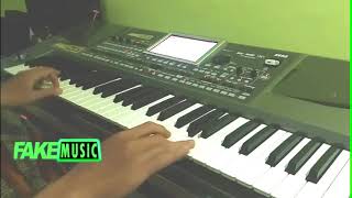 Miftahul Jannah Cover Habib Syech  Korg PA900 Indonesian Version [upl. by Nnybor398]