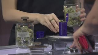 Ohio recreational marijuana sales top 11 million in less than a week [upl. by Nodnalb]