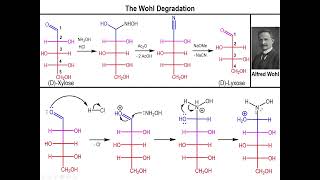 Lec10  The Wohl Degradation [upl. by Ahsanat525]