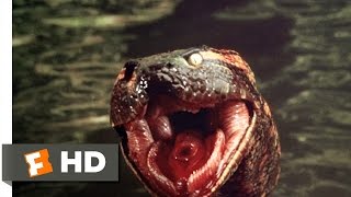 Anaconda 78 Movie CLIP  Anaconda at the Waterfall 1997 HD [upl. by Nirol]