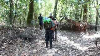 Table mountain expedition Surinam part 33 [upl. by Cramer]