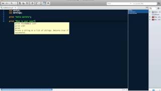 Learn How to Program Perl Lesson 1 [upl. by Boatwright]