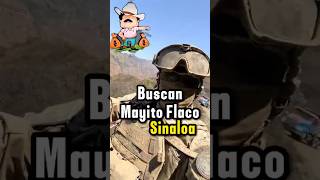 Buscan a mayito flaco en Sinaloa mexico narcosmexico narcos mayitoflaco sinaloa culiacan [upl. by Orual448]