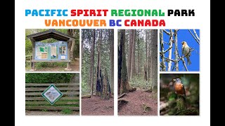 Walkthrough PACIFIC SPIRIT REGIONAL PARK  Vancouver BC Canada [upl. by Tocci443]